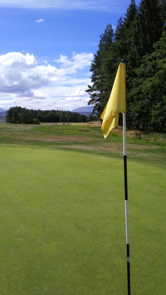 Yellow flag on golf course