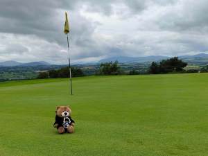 Golf course hole with teddy bear near yellow flag